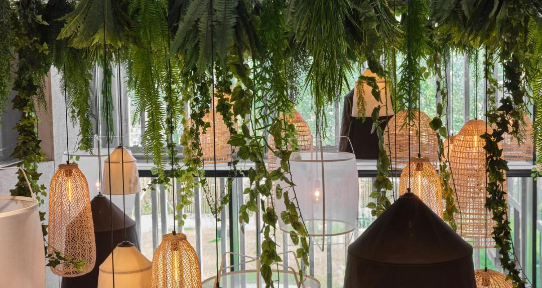 Photo of Others in Wambrechies