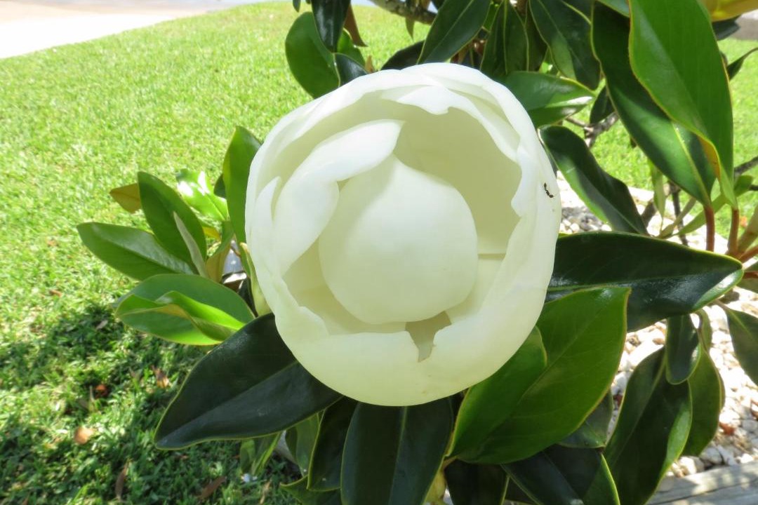 Photo of Outdoor in Corpus Christi