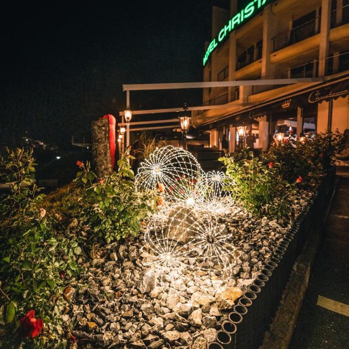 Photo of Others in Fiesch