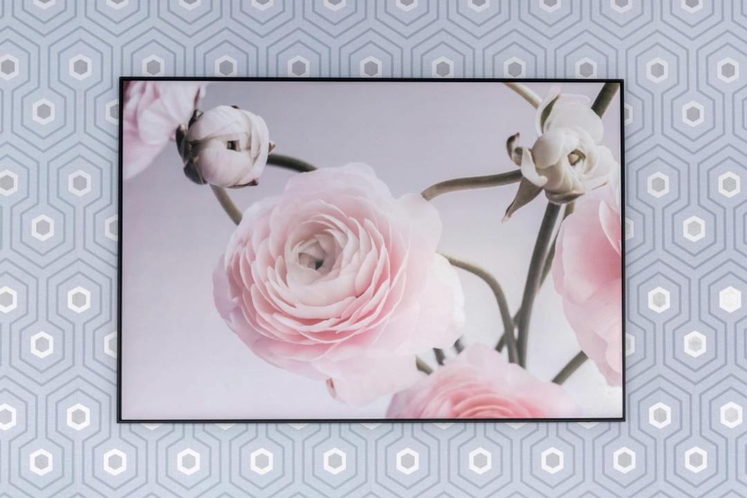 Photo of Others in Moliere Vauban