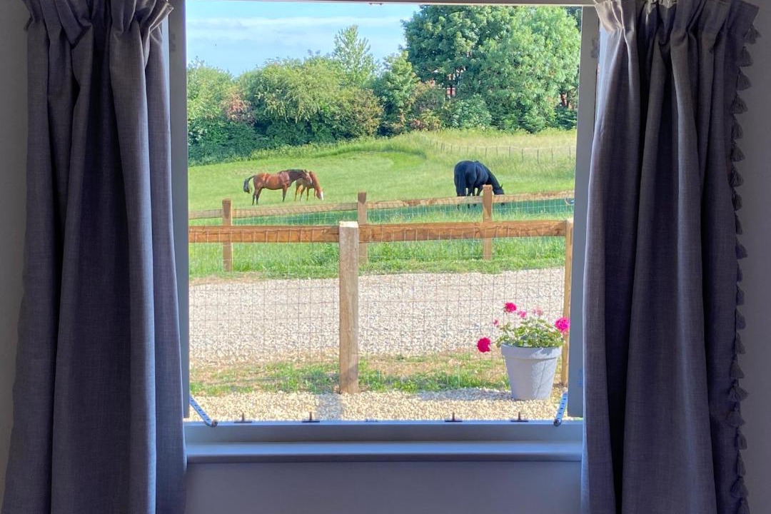 Photo of Others in Bourton