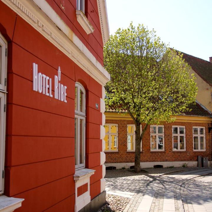 Photo of Others in Ribe