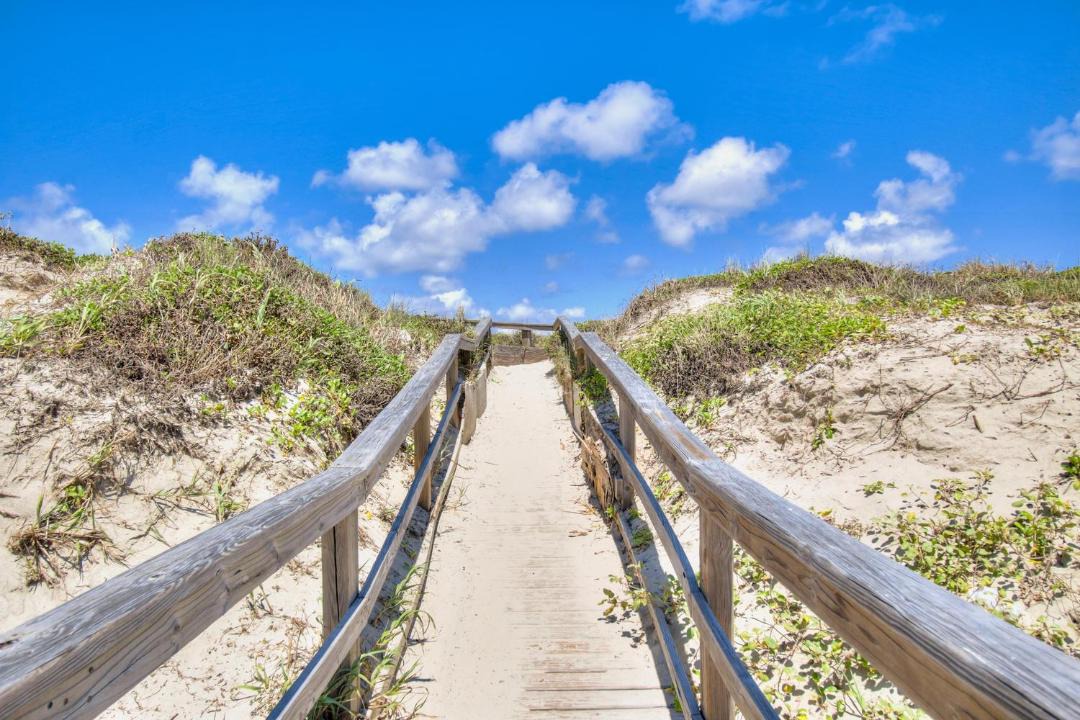 Photo of Others in Port Aransas