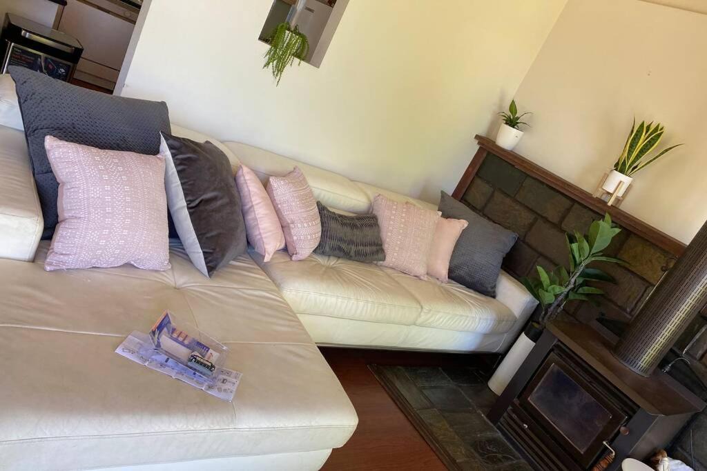 Photo of Others in Goughs Bay