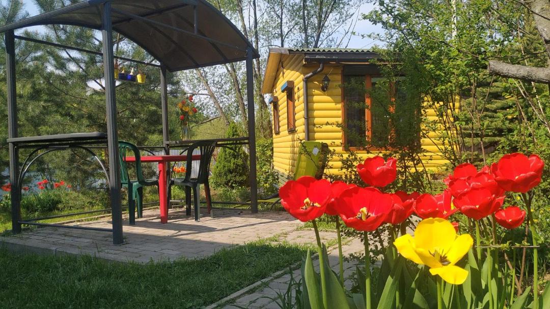 Photo of Others in Novo-Peredelkino