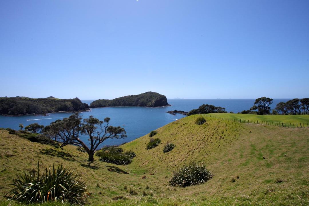 Photo of Others in Tutukaka