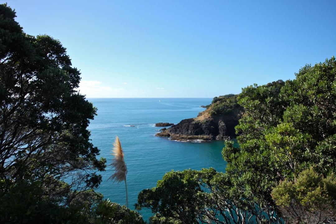 Photo of Others in Tutukaka