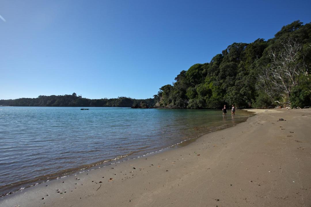 Photo of Others in Tutukaka