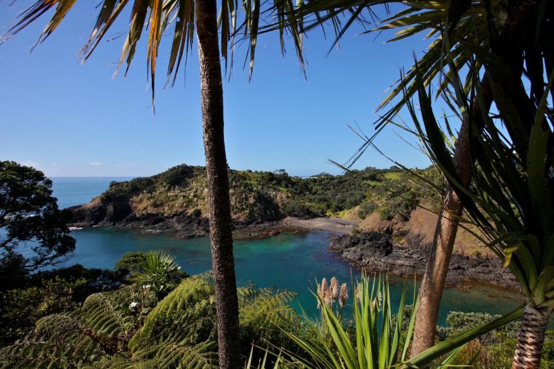 Photo of Others in Tutukaka