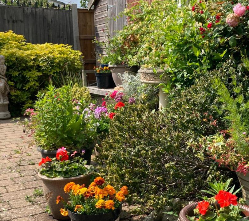 Photo of Others in Brundall