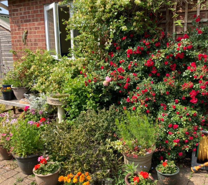 Photo of Others in Brundall