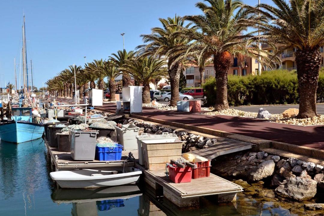 Photo of Others in Les Hauts de Canet