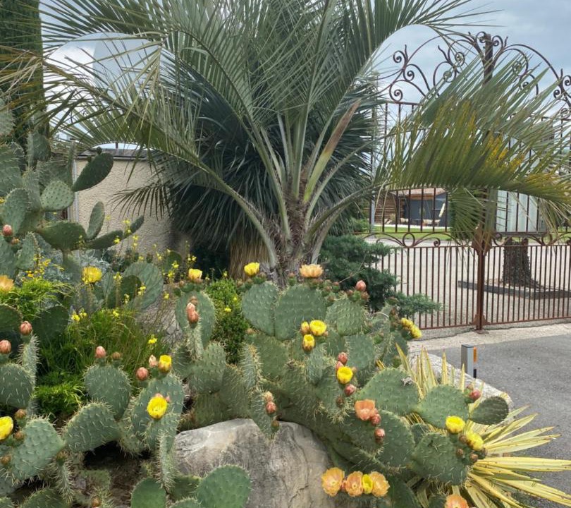 Photo of Others in Pierrelatte