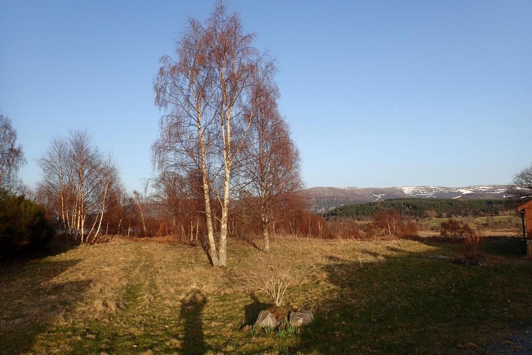Photo of Outdoor in Kingussie