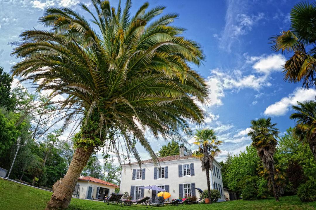 Photo of Others in Orthez