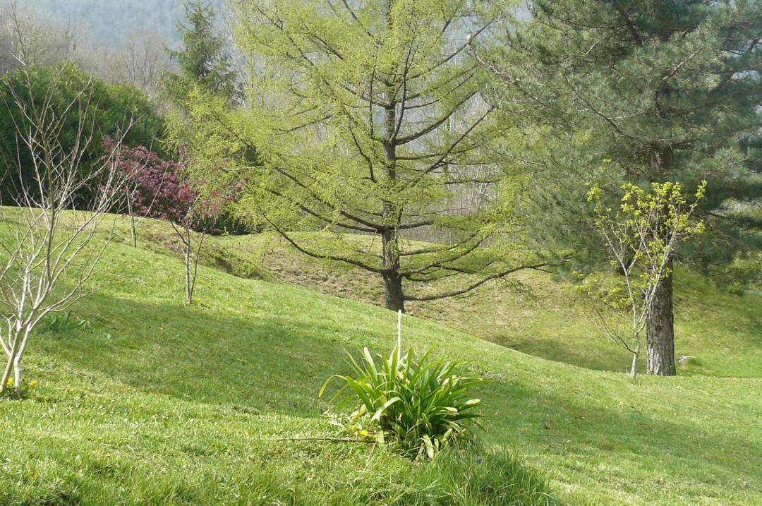 Photo of Others in Louvie Juzon