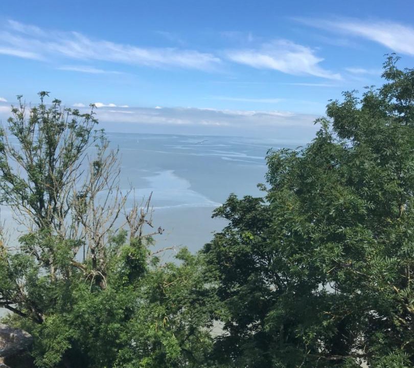 Photo of Others in Saint-Hilaire-du-Harcouet