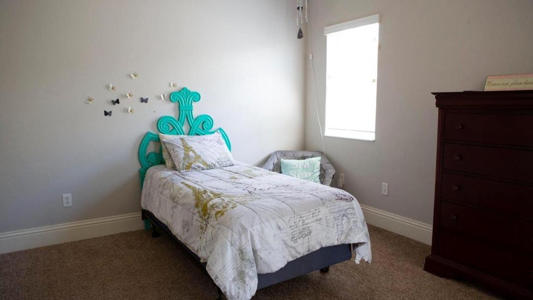 Photo of Others in Apollo Beach