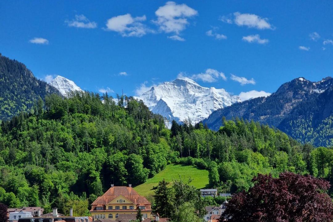 Photo of Others in Central Interlaken