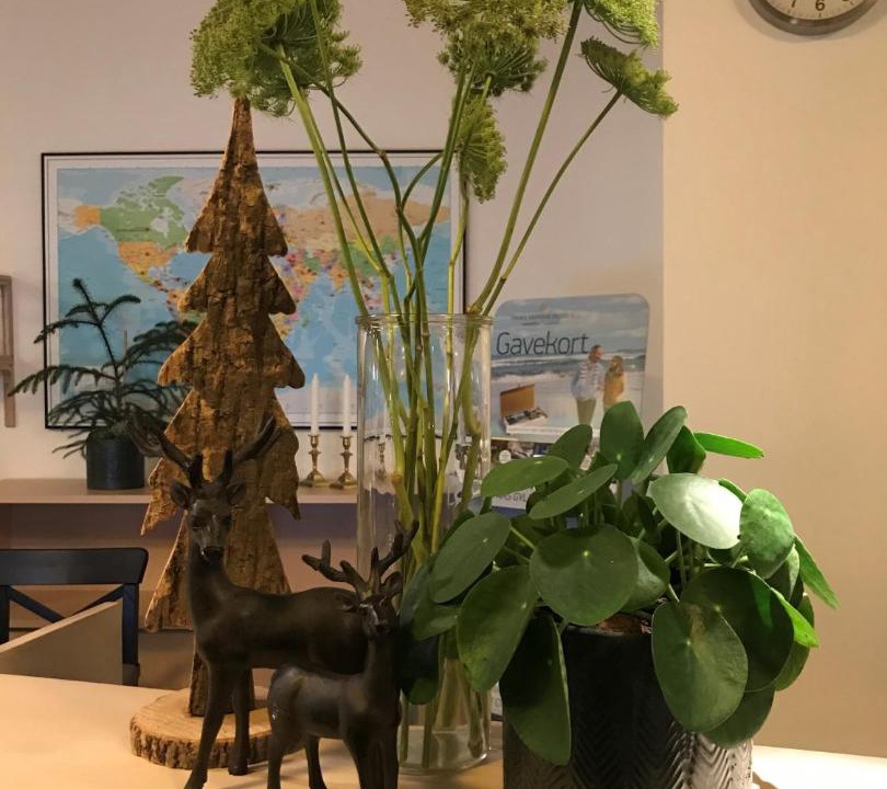 Photo of Others in Herning