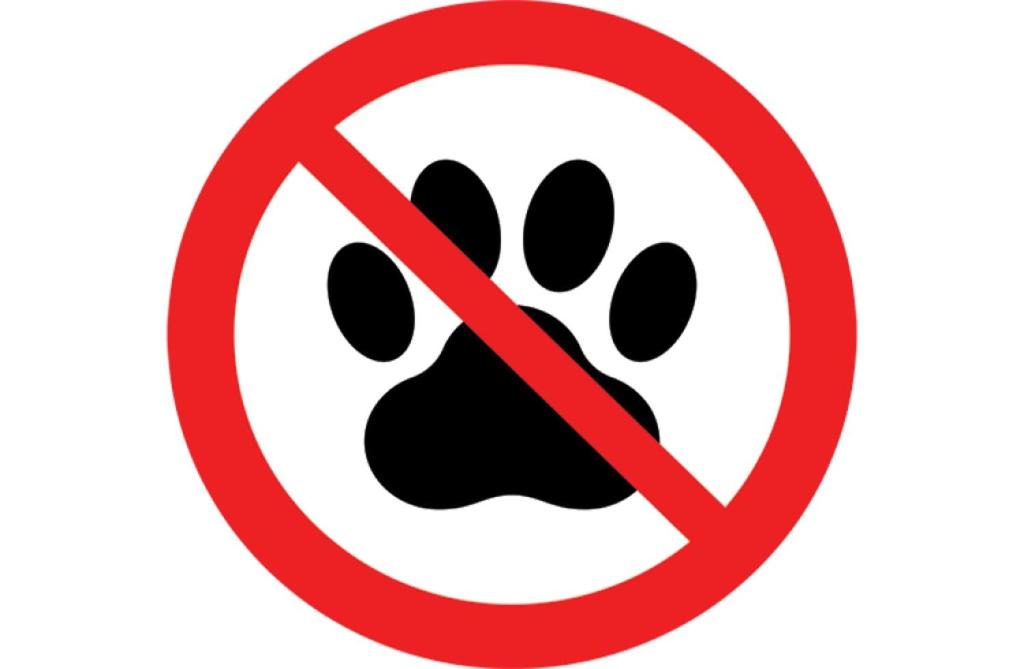 Photo of Others in Londonderry