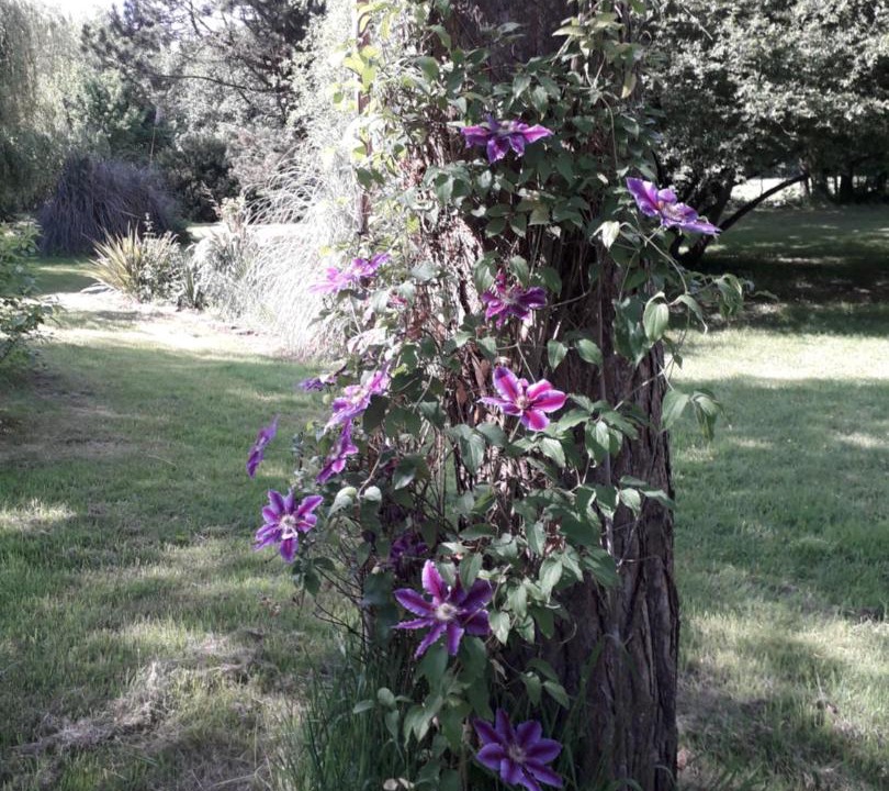 Photo of Outdoor in Cherence-le-Roussel