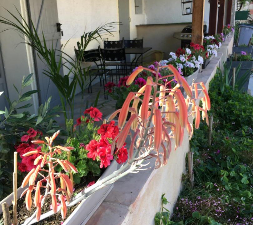 Photo of Others in Lautrec