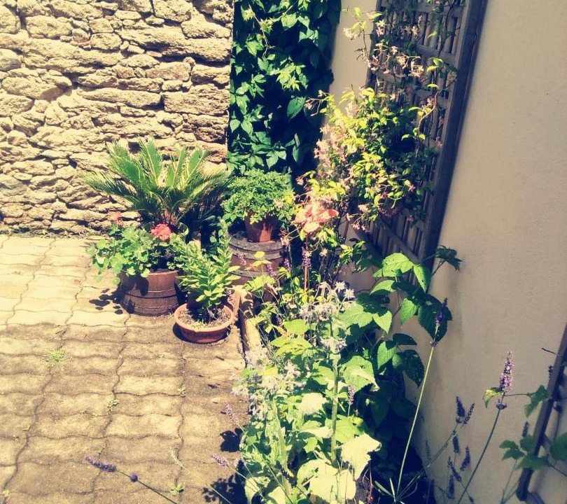 Photo of Others in La Bernardiere