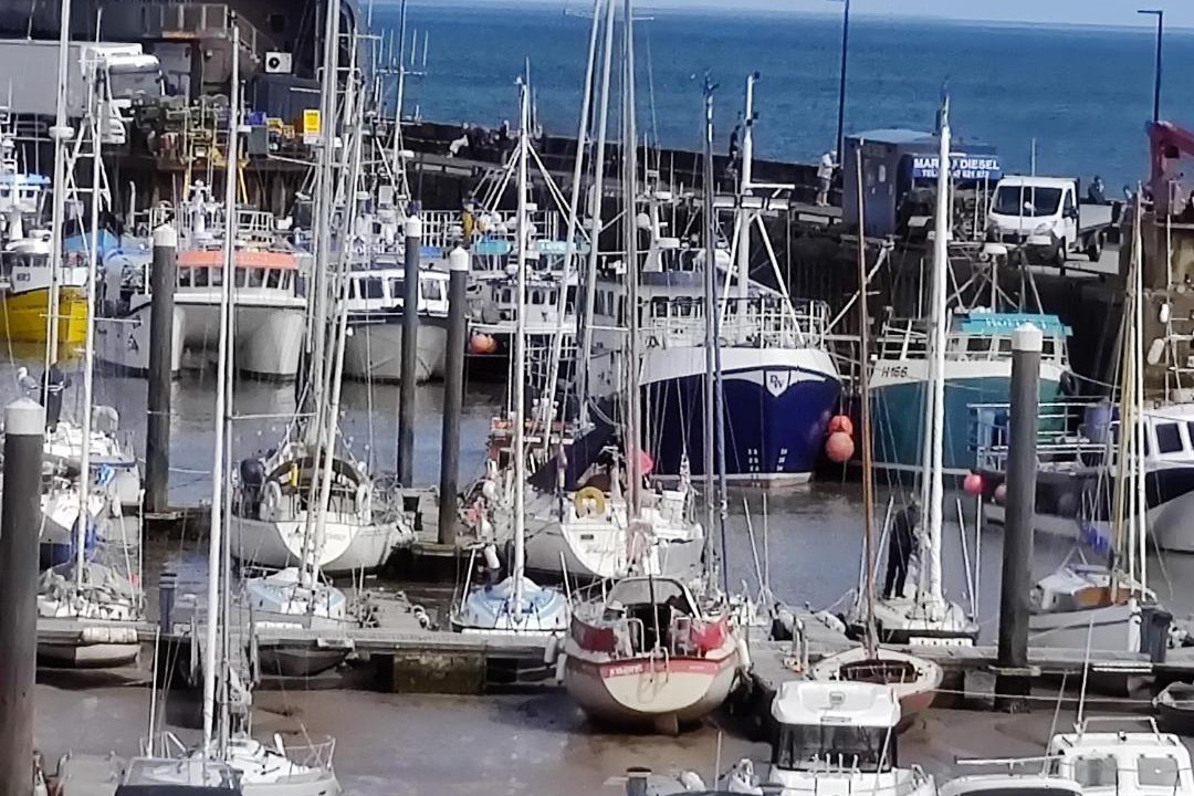 Photo of Others in Flamborough