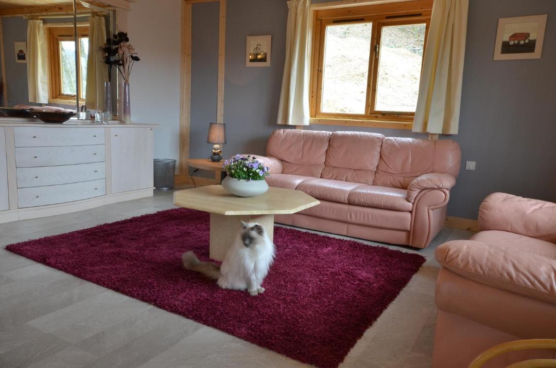 Photo of Livingroom in Treignac