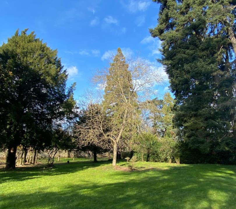 Photo of Others in Vire