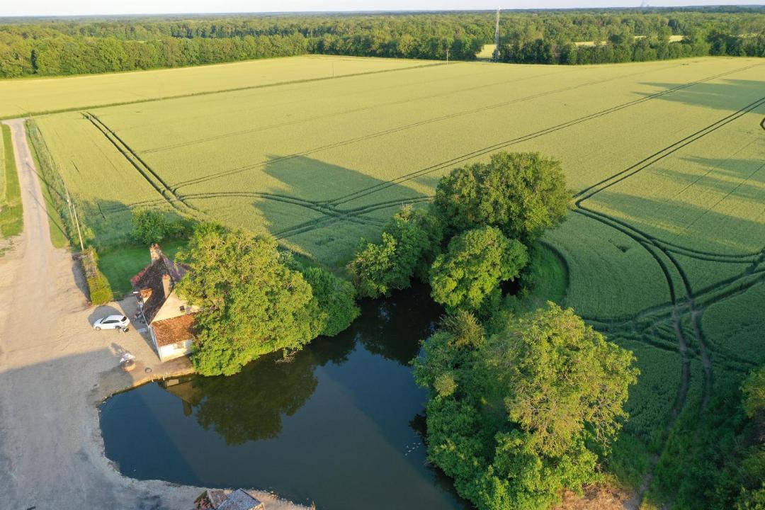 Photo of Others in Feins-en-Gatinais