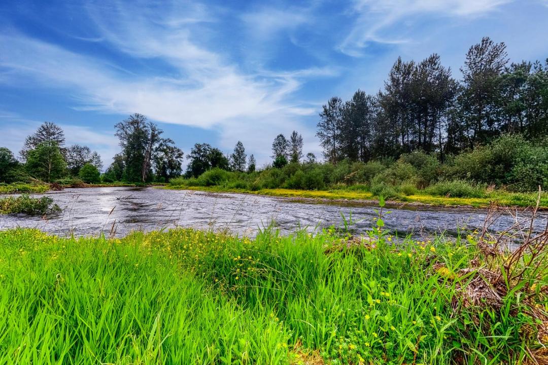 Photo of Others in Thurston