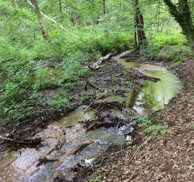 Photo of Others in Fumay