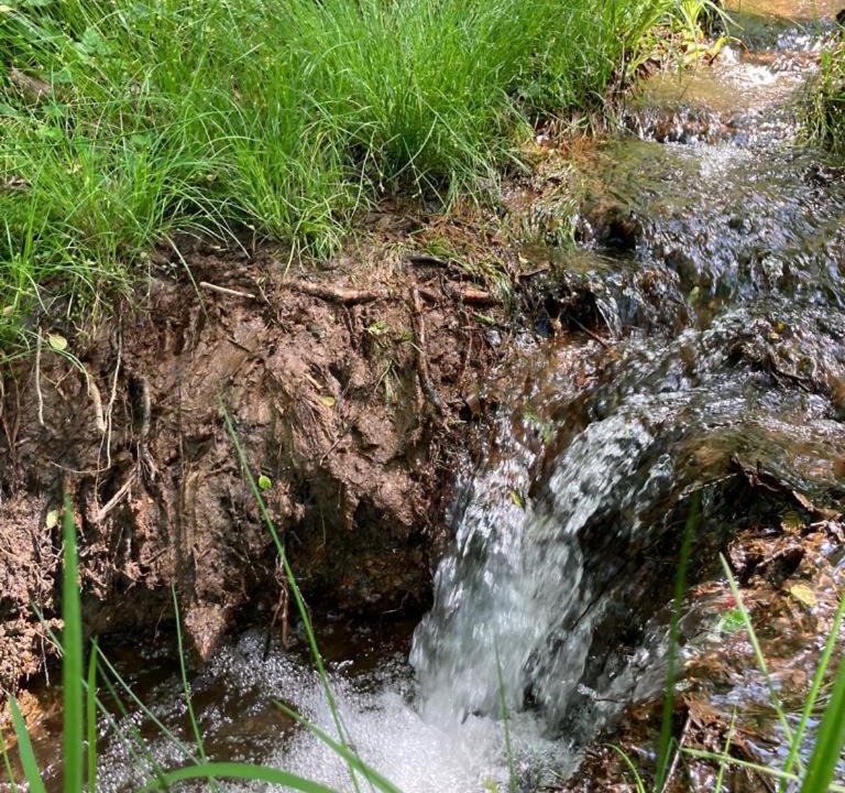 Photo of Others in Fumay