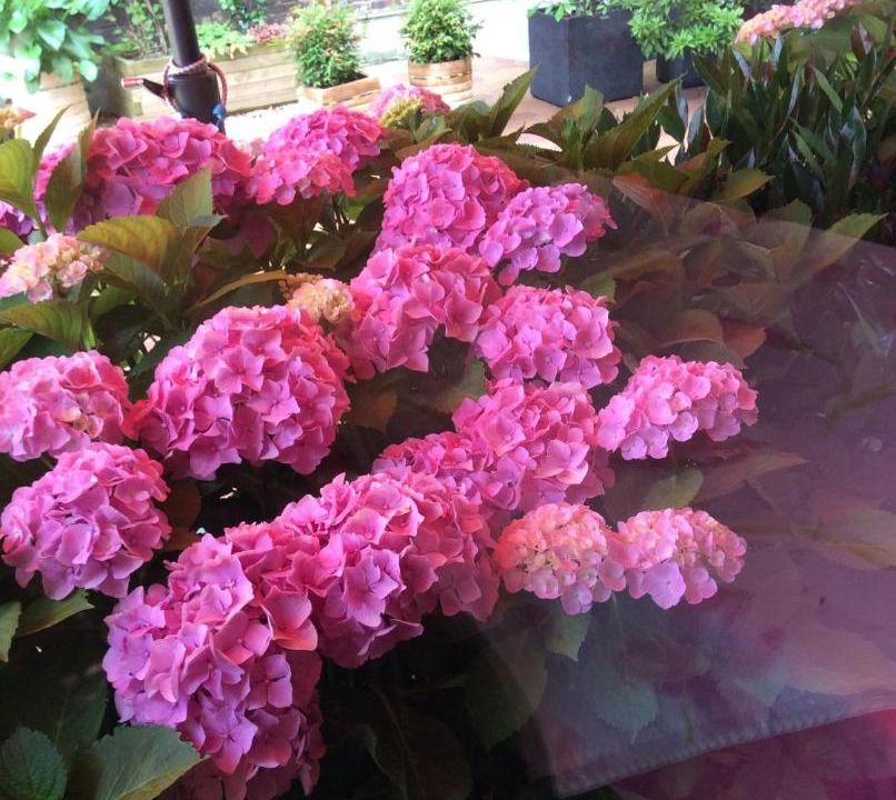 Photo of Others in Gournay-en-Bray