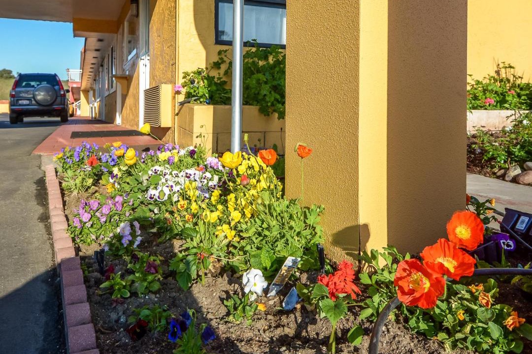 Photo of Others in Hollister