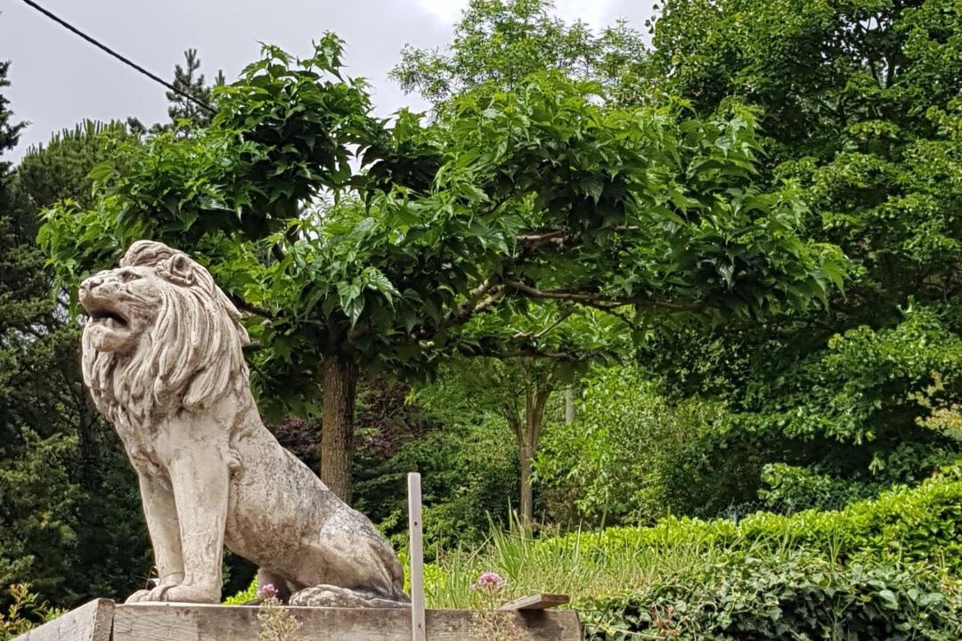 Photo of Others in Saint-Affrique