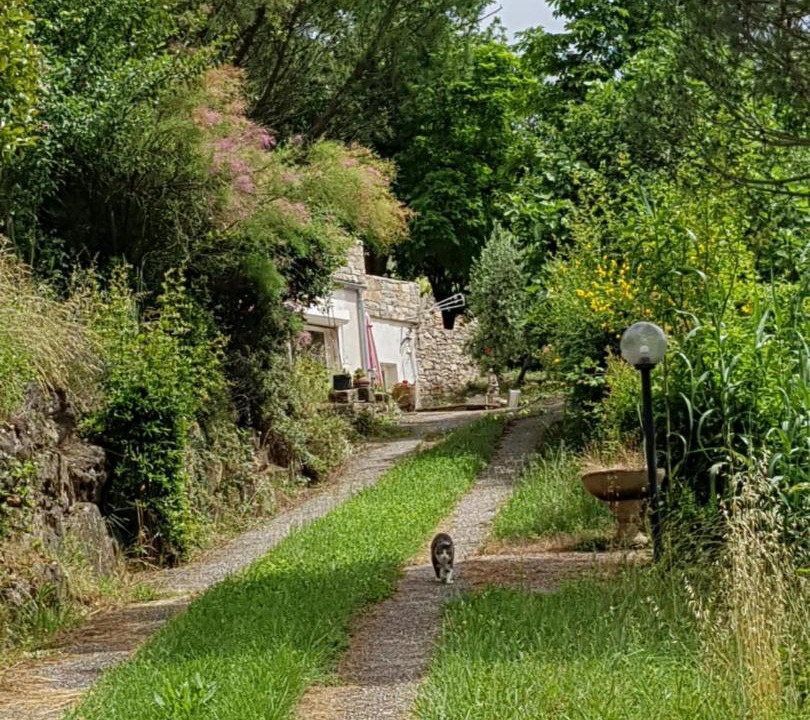 Photo of Others in Saint-Affrique