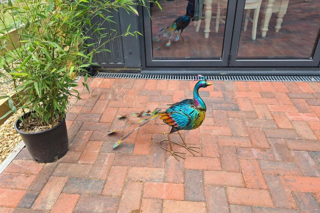 Photo of Others in New Forest District