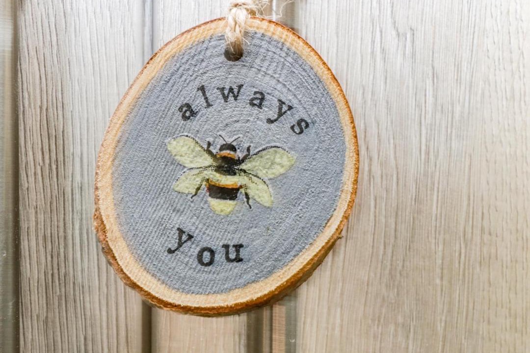 Photo of Others in New Forest District