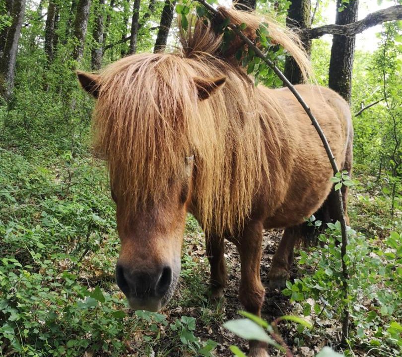 Photo of Others in Marmont-Pachas