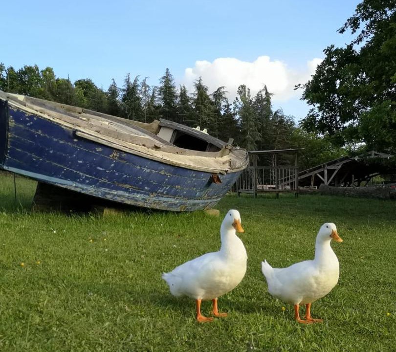 Photo of Others in Marmont-Pachas