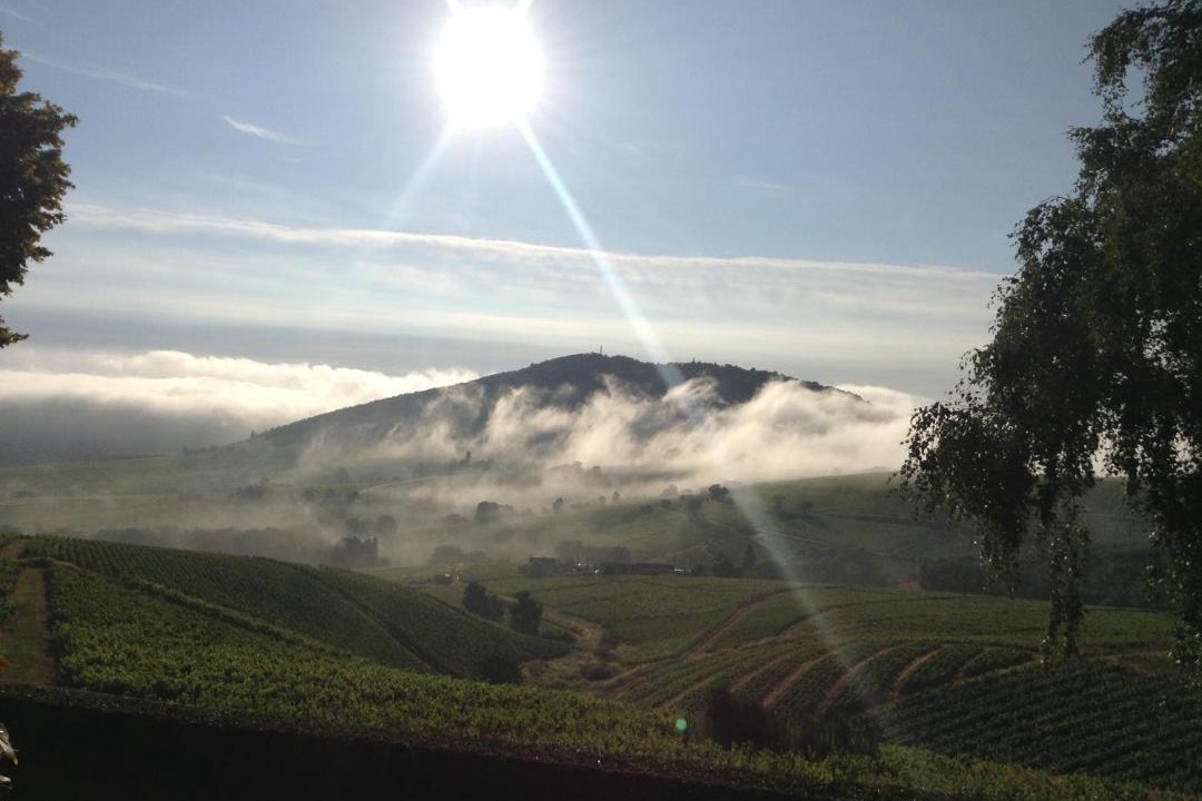 Photo of Others in Quincie-en-Beaujolais