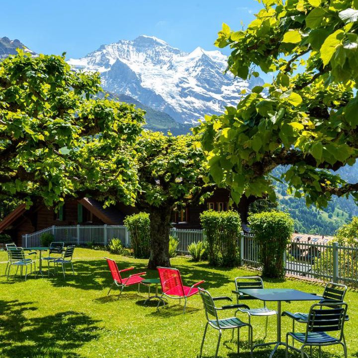 Photo of Others in Wengen