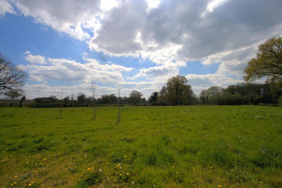 Photo of Others in Sainte-Severe-sur-Indre