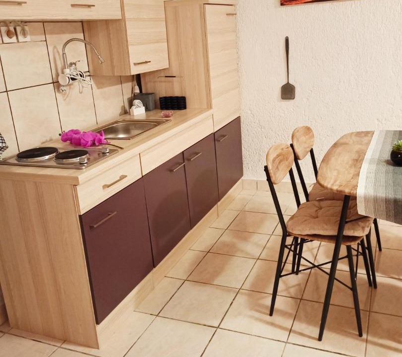 Photo of Kitchen in Lovinac