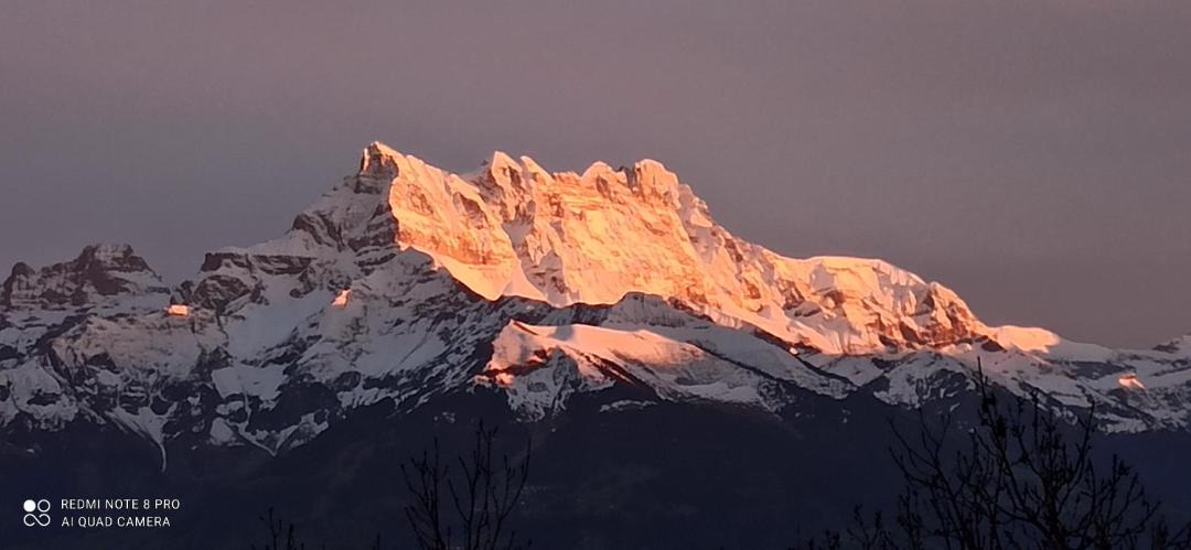 Photo of Others in Leysin