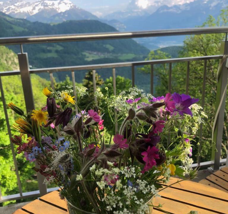Photo of Others in Leysin
