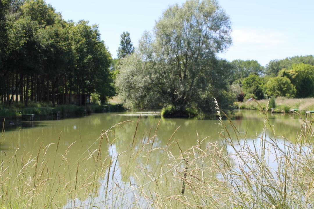 Photo of Outdoor in Deneze-sous-le-Lude